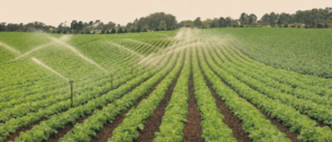 È made in Torino l’irrigazione per l’agricoltura intelligente